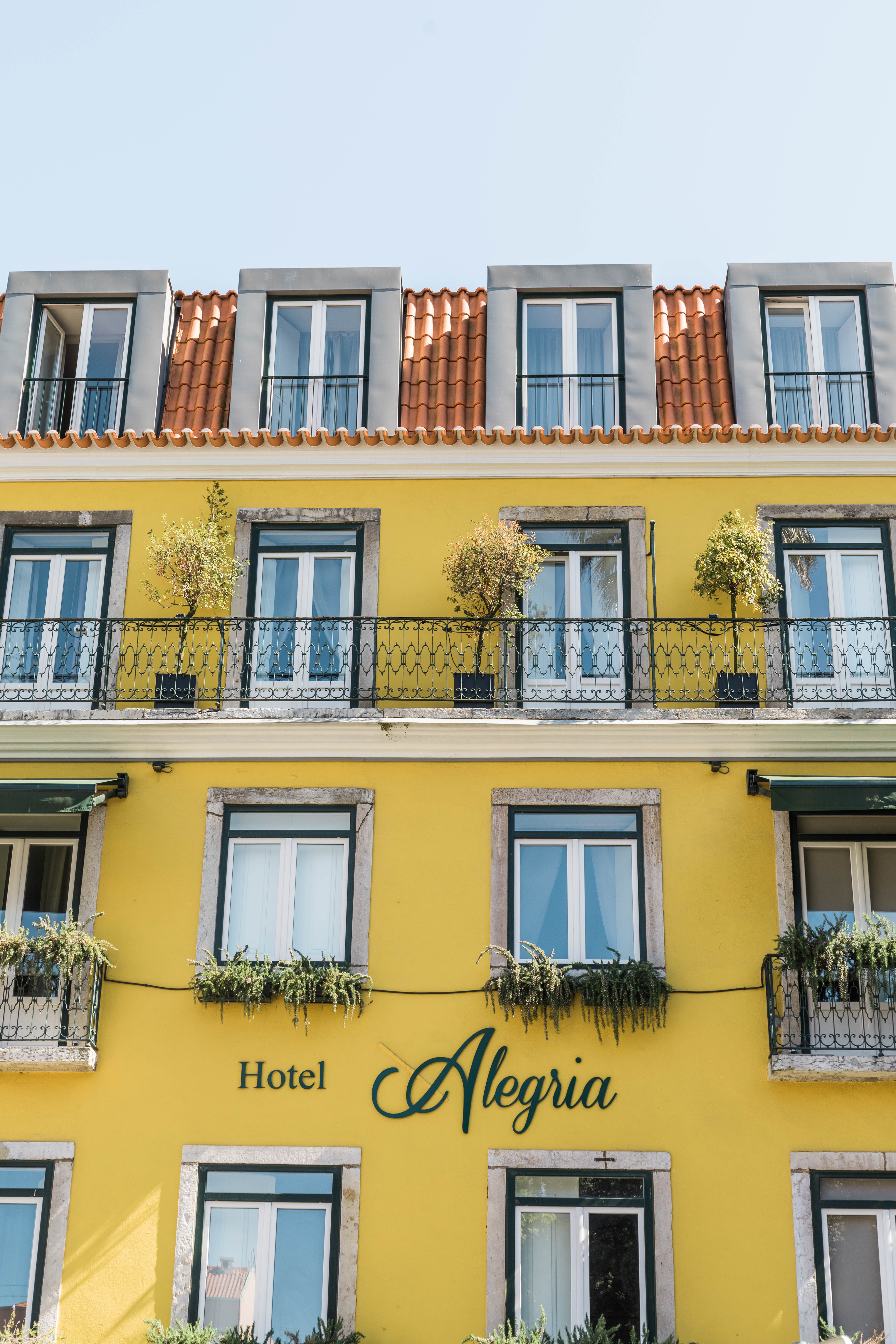 hotel alegria lisbon